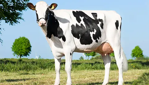 Vh Bernell Daughter1 No 32003 3584 From Anton Hammersho J Hobro Scenic Srgb Web