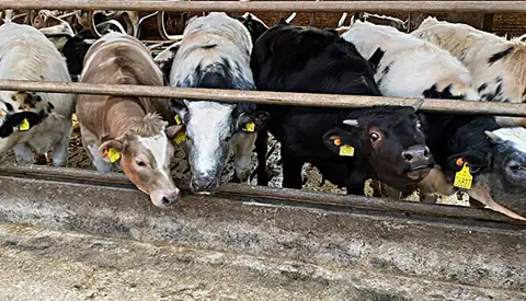 IMG 1181 Srgb Oversigt Web