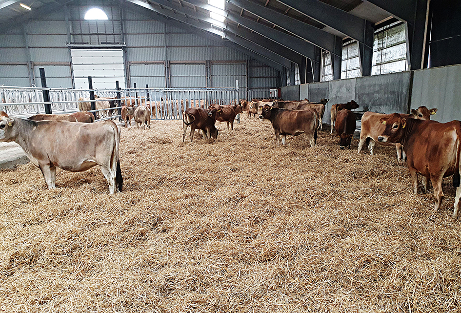 20200522 133716 2 1 Srgb Web1