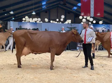 RDM Sundhedskonkurrence 2022 Img 2538