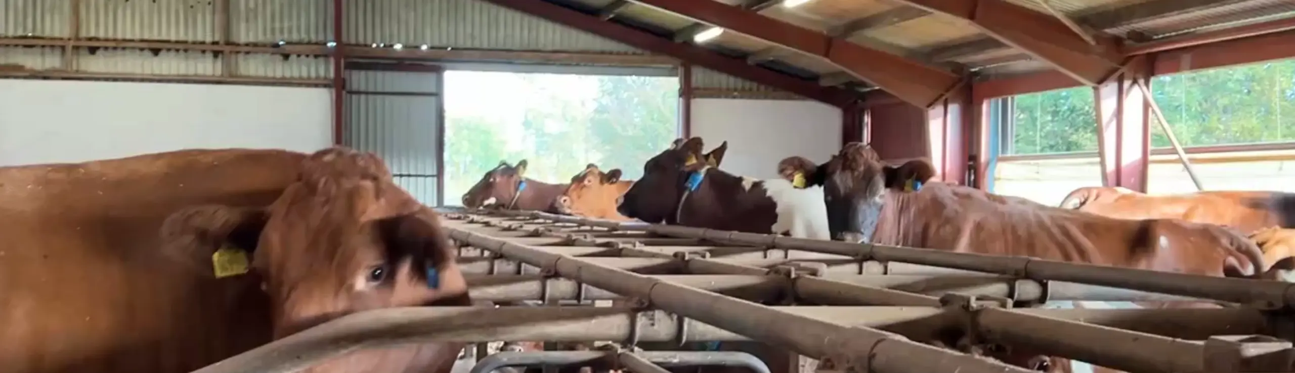 Holtegård Ved Lene Og Palle