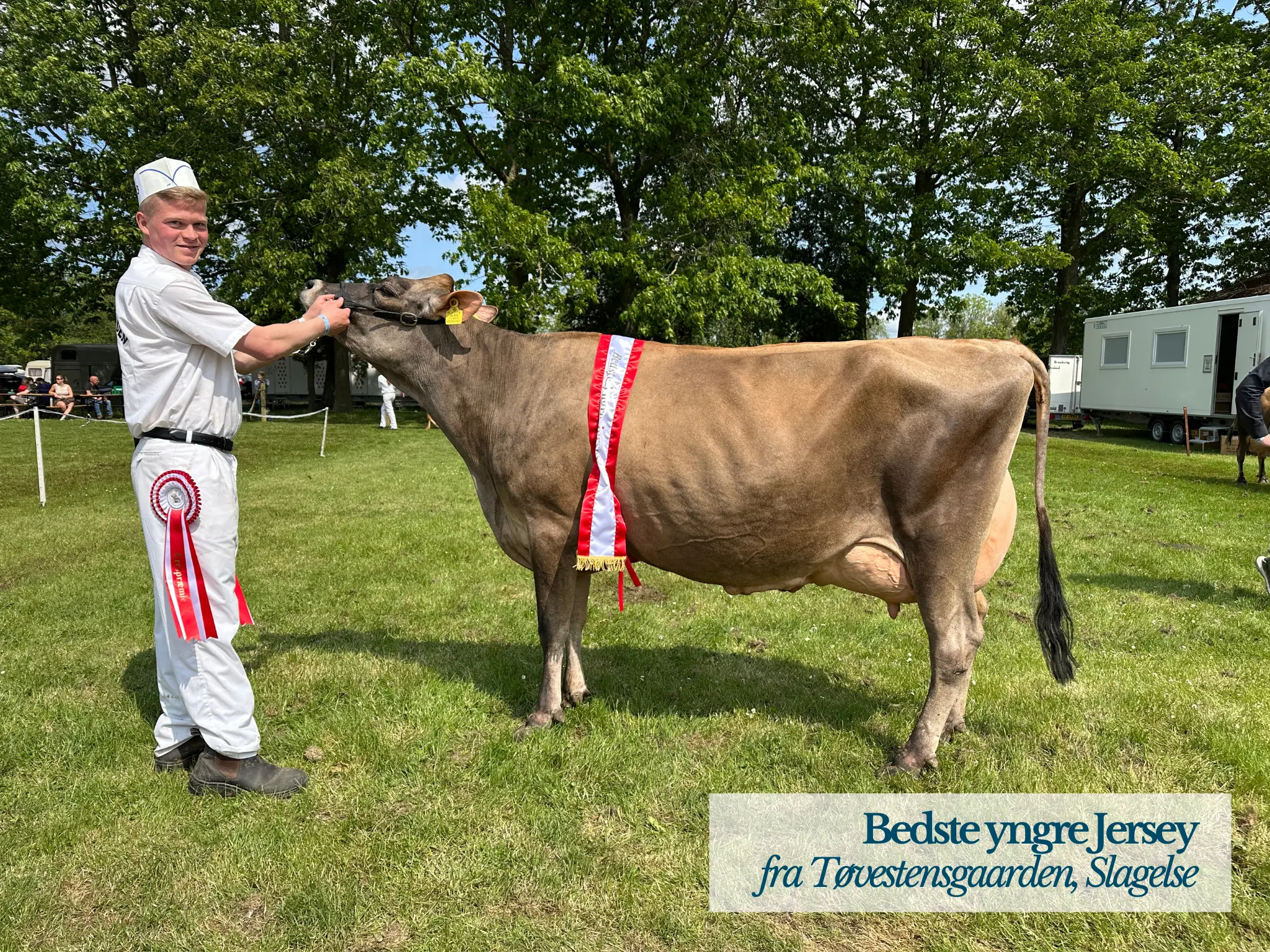 Bedste Yngre Jersey