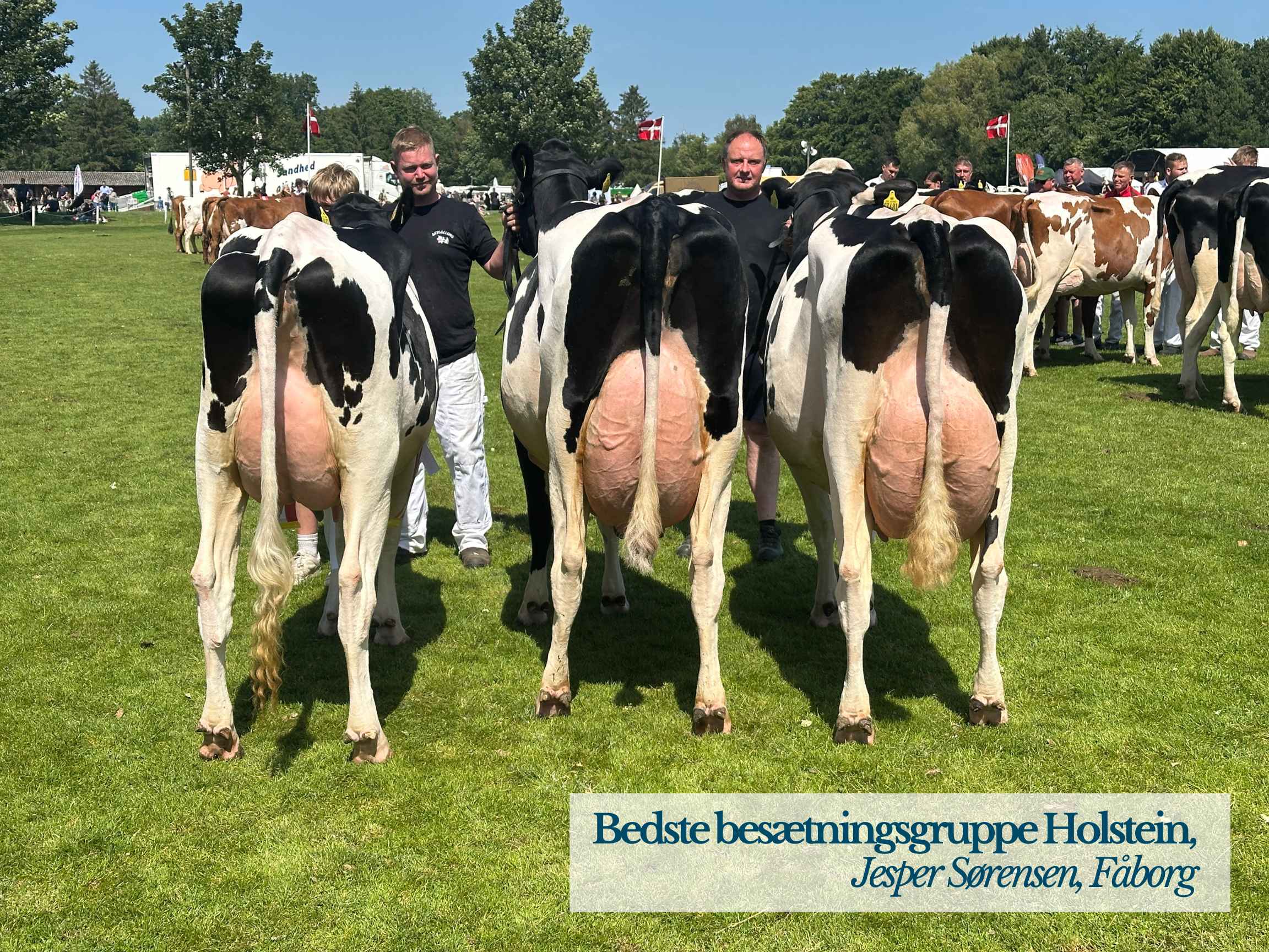 Bedste Besætningsgruppe Holstein, Jesper Sørensen, Fåborg
