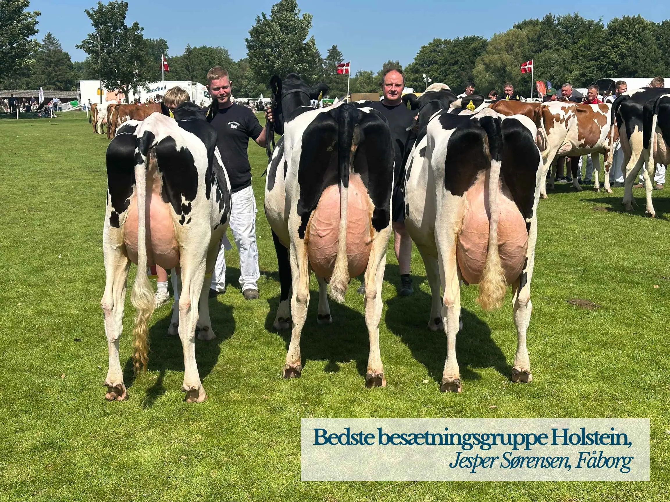 Bedste Besætningsgruppe Holstein, Jesper Sørensen, Fåborg