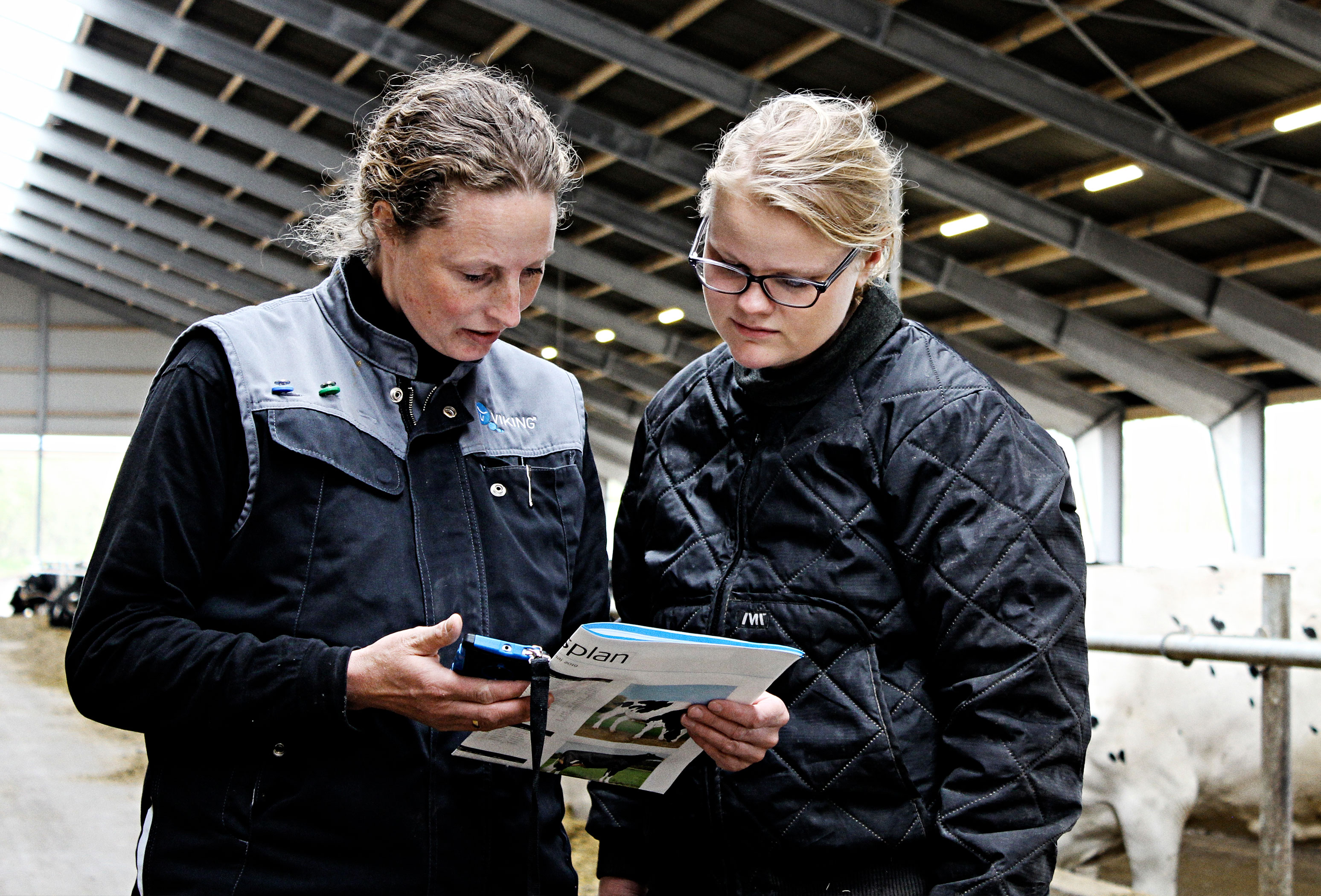 Insemineringsservice Img 3216 Vn Web