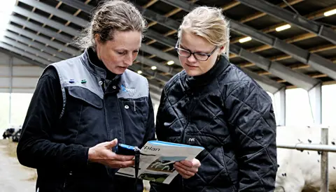 Insemineringsservice Img 3216 Vn Web