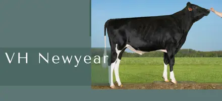 ARTICLE ENTRY TYR (10)