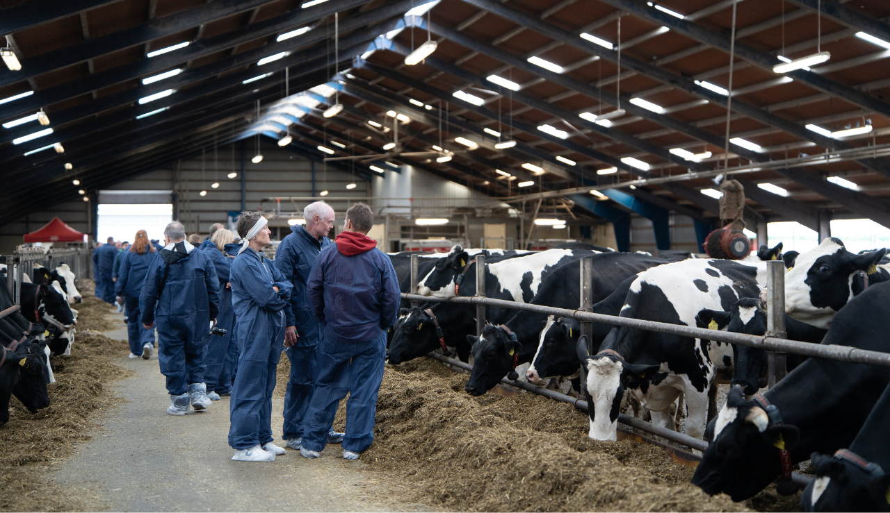 Snak I Stalden Ved Rundvisningen