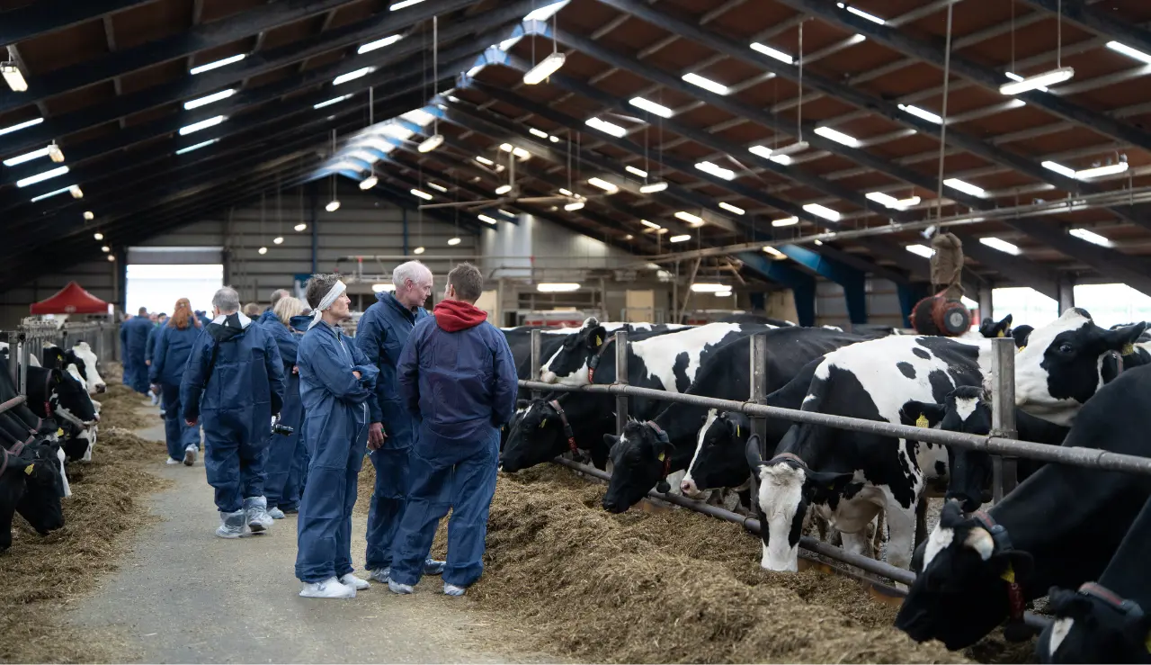 Snak I Stalden Ved Rundvisningen