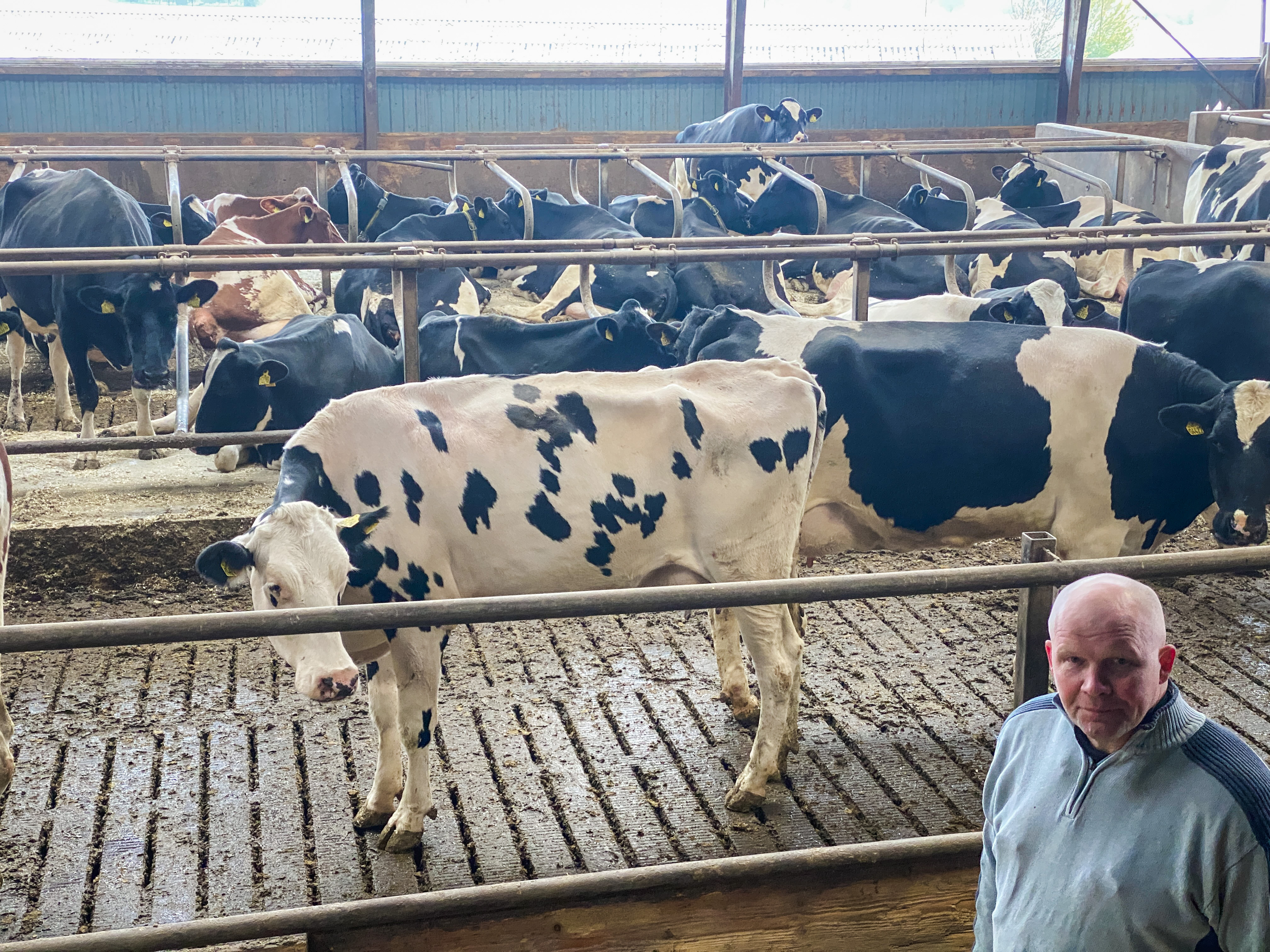 IMG 2376 Edited Henrik Grønne