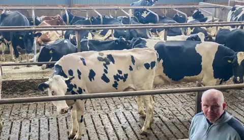 IMG 2376 Edited Henrik Grønne