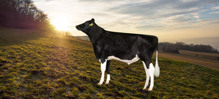 VH Slis RC På Mark (1)