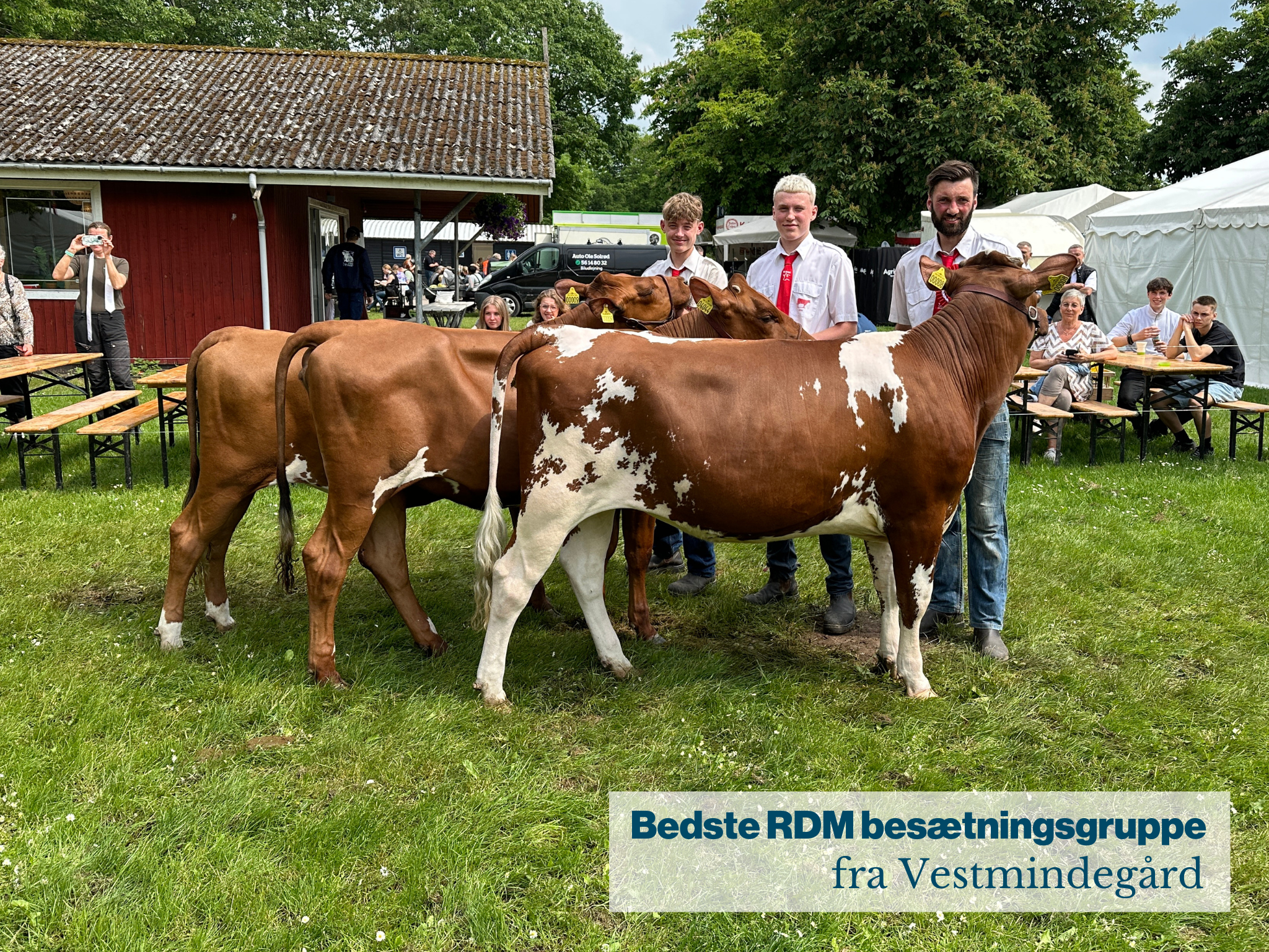 Bedste RDM Besætningsgruppe Fra Vestmindegård .JPG