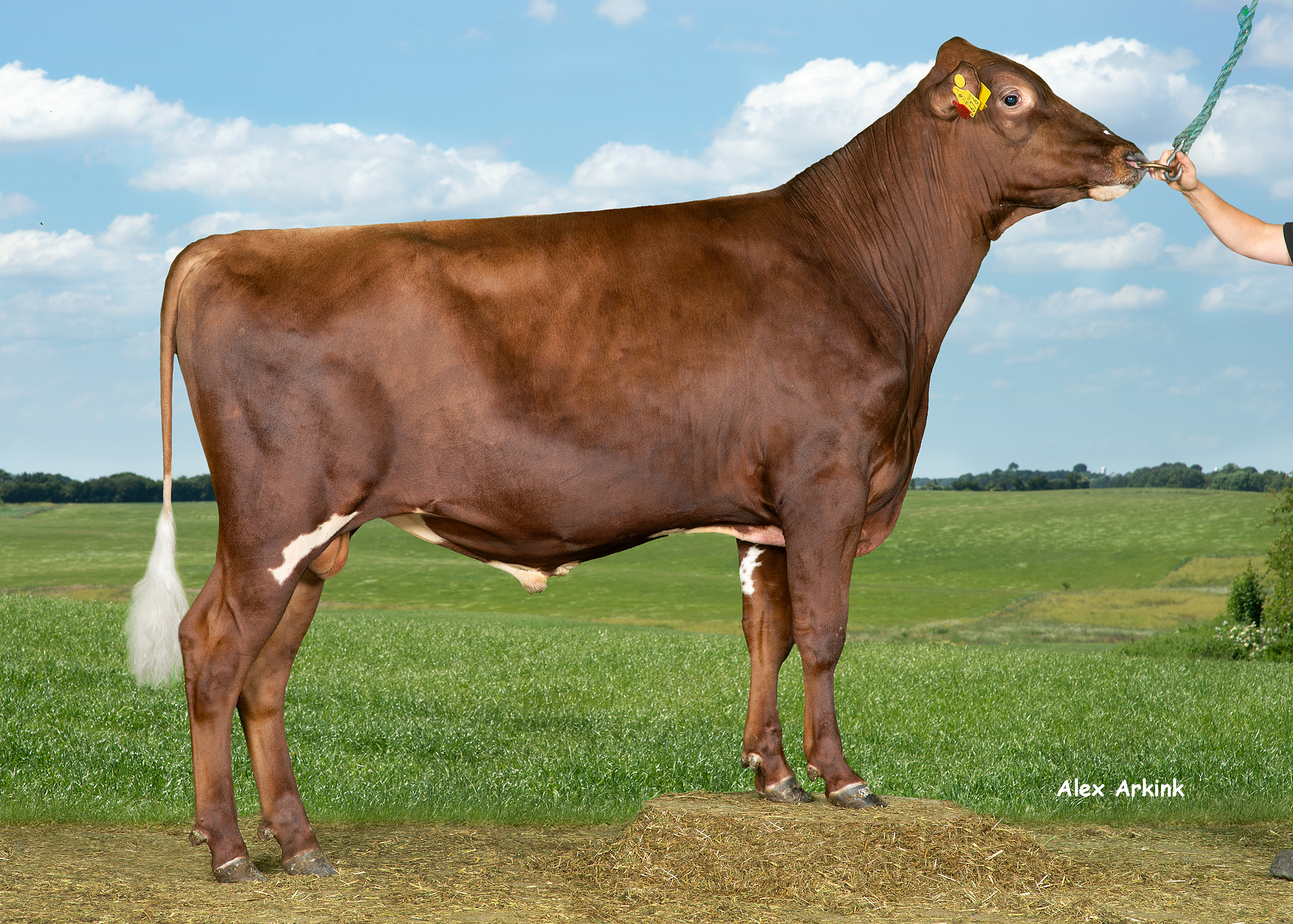 VR Hessu P (VR Hohde) 38214