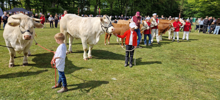 Juniorer Til Mønstring På Årets Dyrskue I Fjerritslev