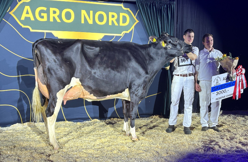 2 Vinder Agro Nord 2024