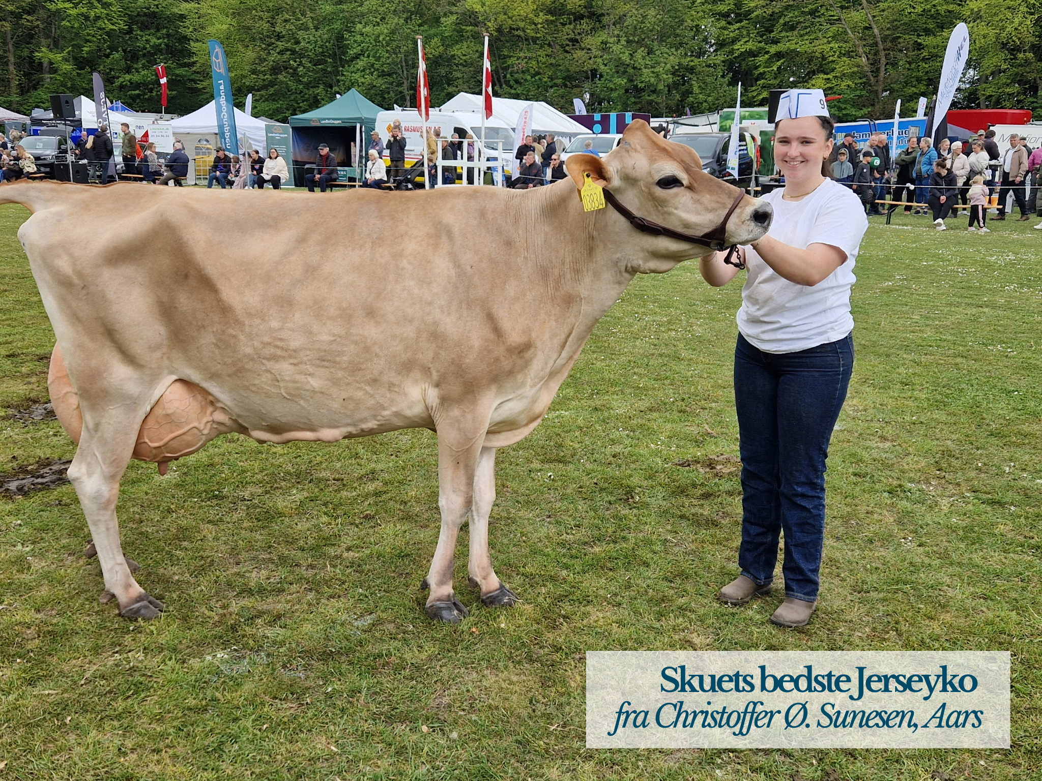 Skuets Bedste Jerseyko