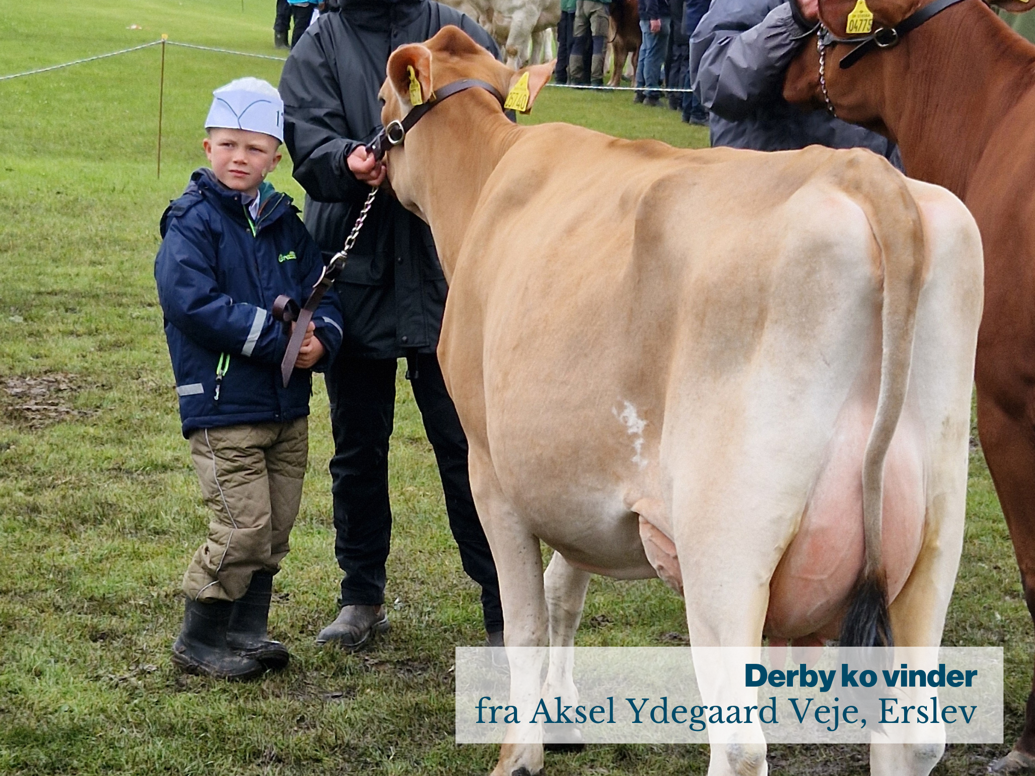 Derby Ko Vinder