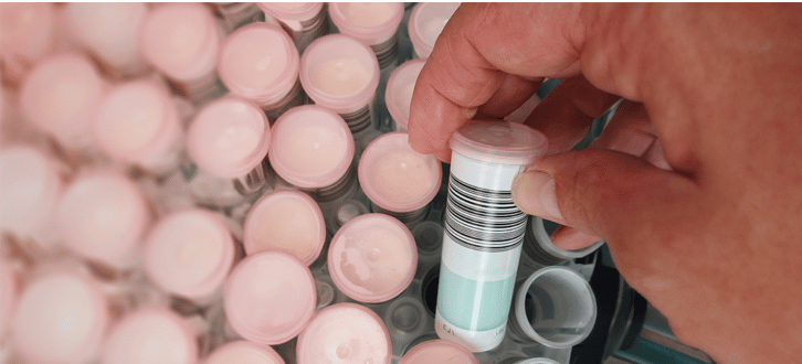 Mælkeprøve Vises Frem