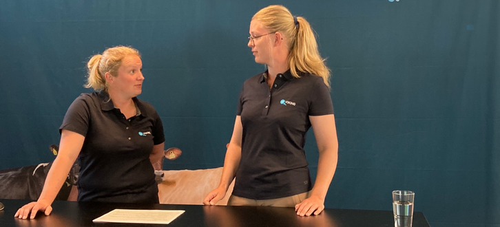 Untitled Design (72)