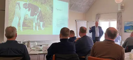 Untitled Design (12)