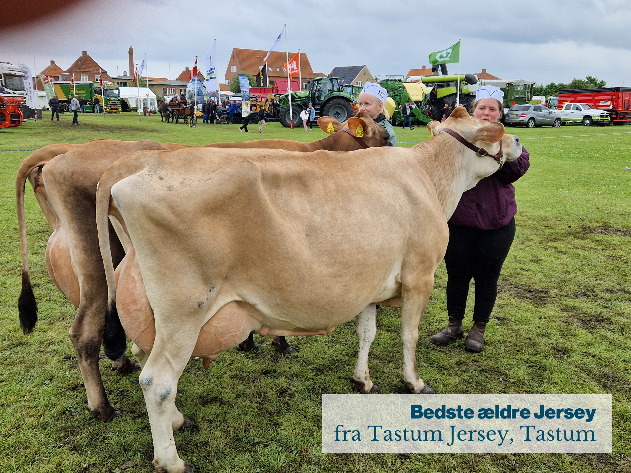 Bedste Ældre Jersey
