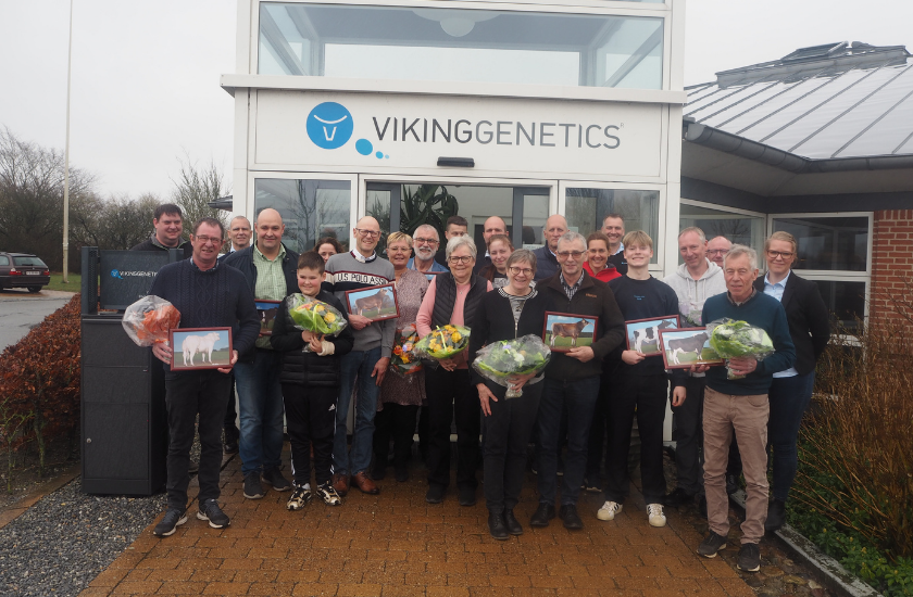 Hædring Af Mest Solgte Tyre