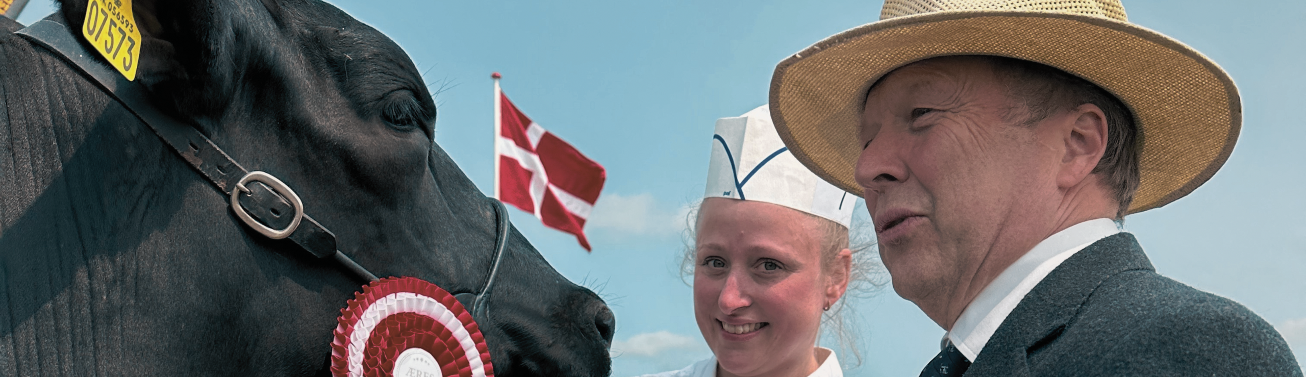 Stemning Fra Dyrskue