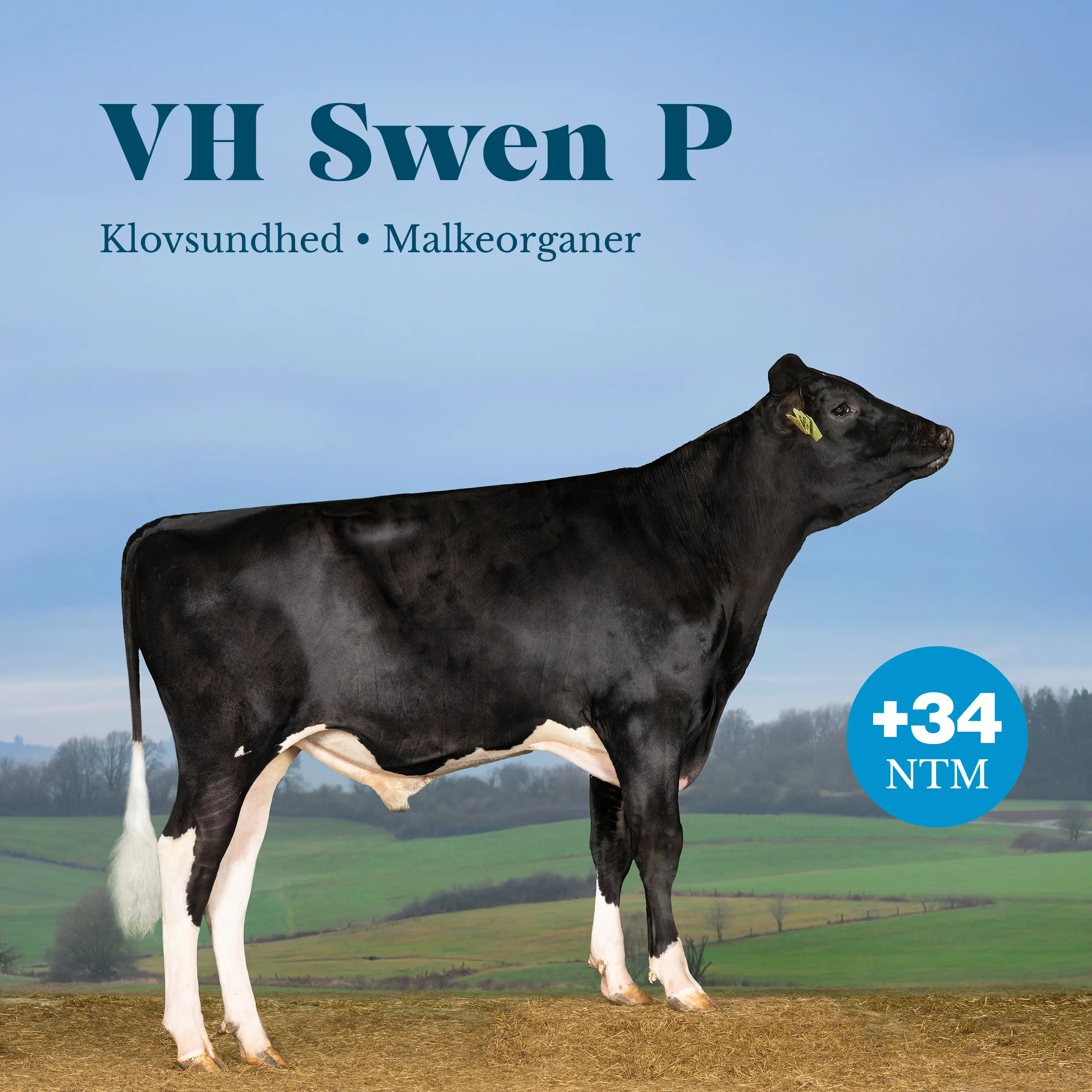 Vh Swen P +34 NTM