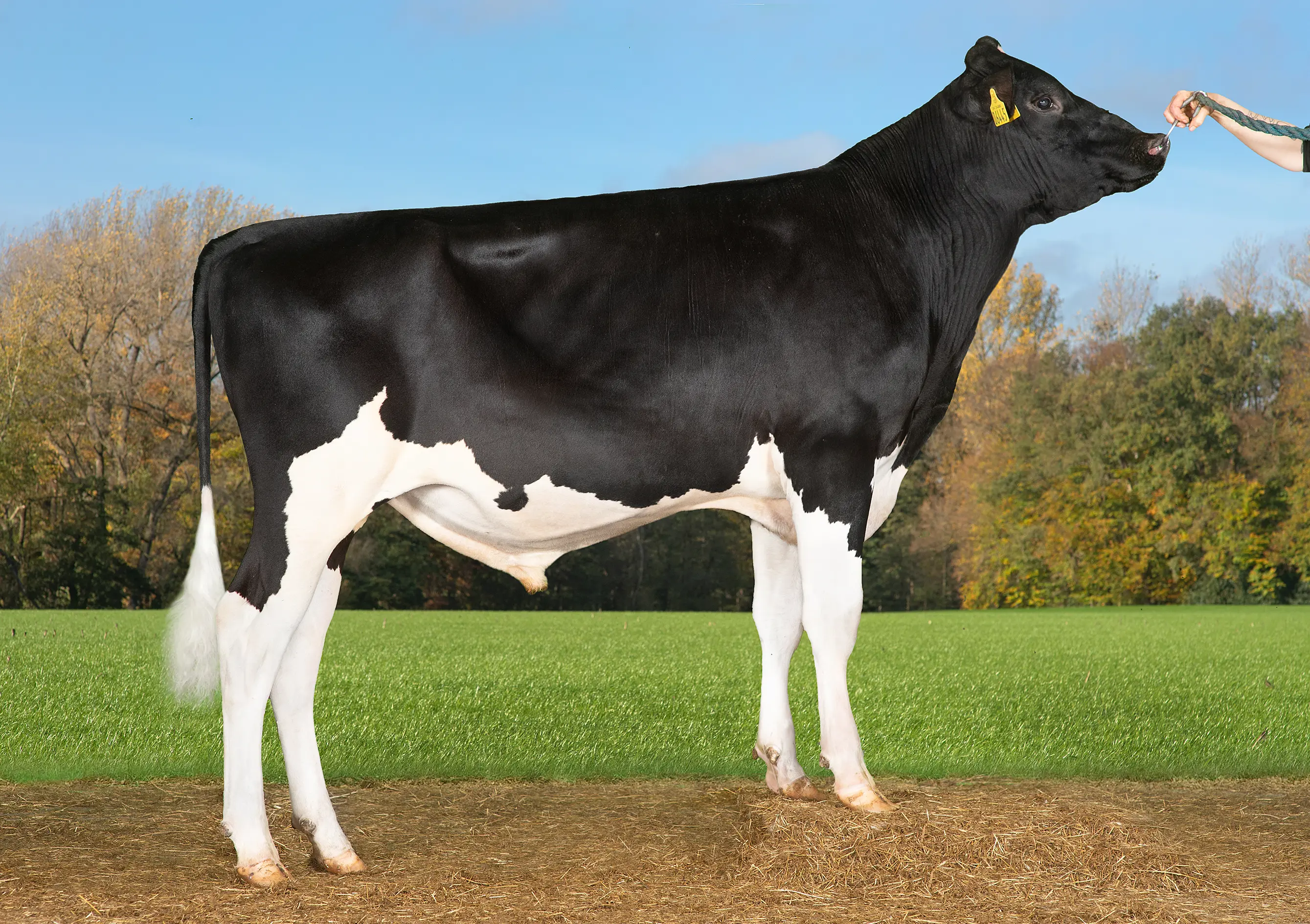 VH Sanpprc (Sauna PRC)