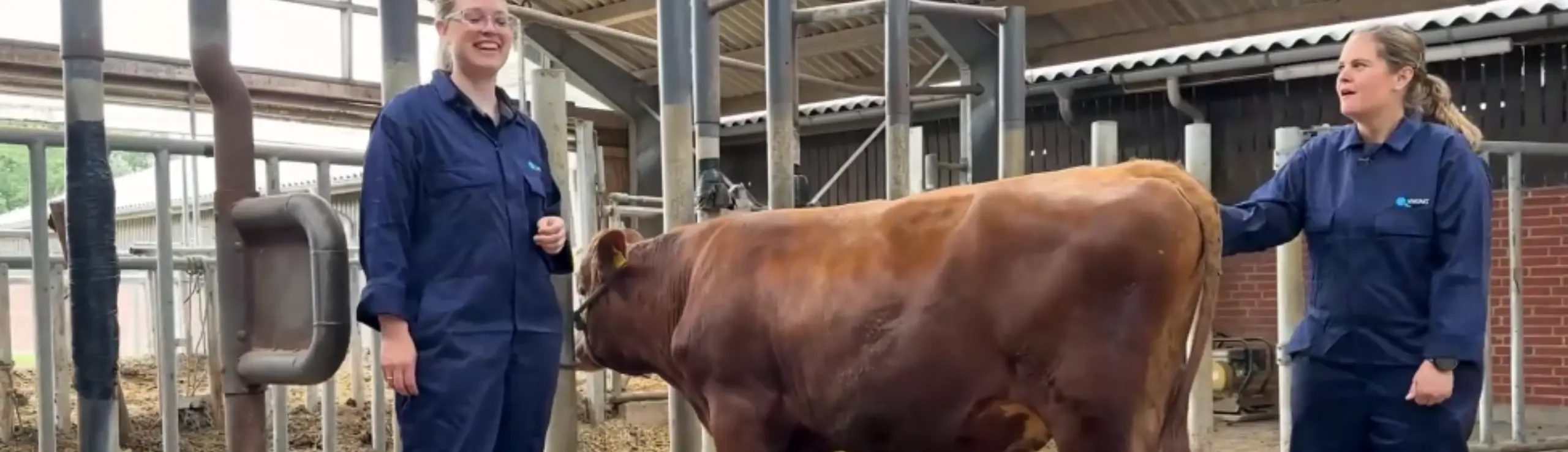 Sarah Og Kristina Med VR Elke