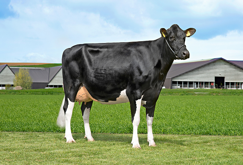 26089 6931 Vh Manfolk1 Stemning Srgb Web