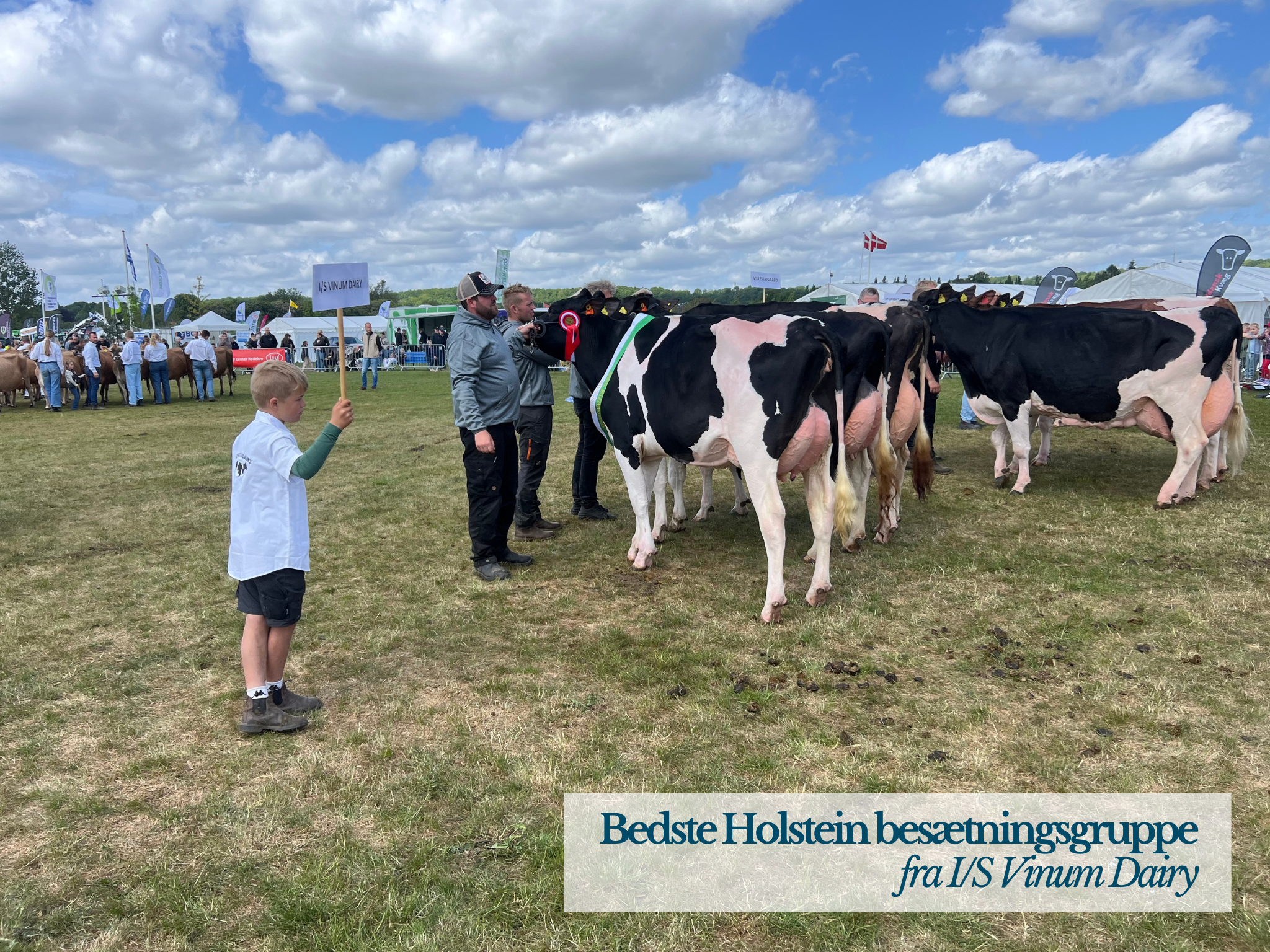 Bedste Holstein Besætningsgruppe