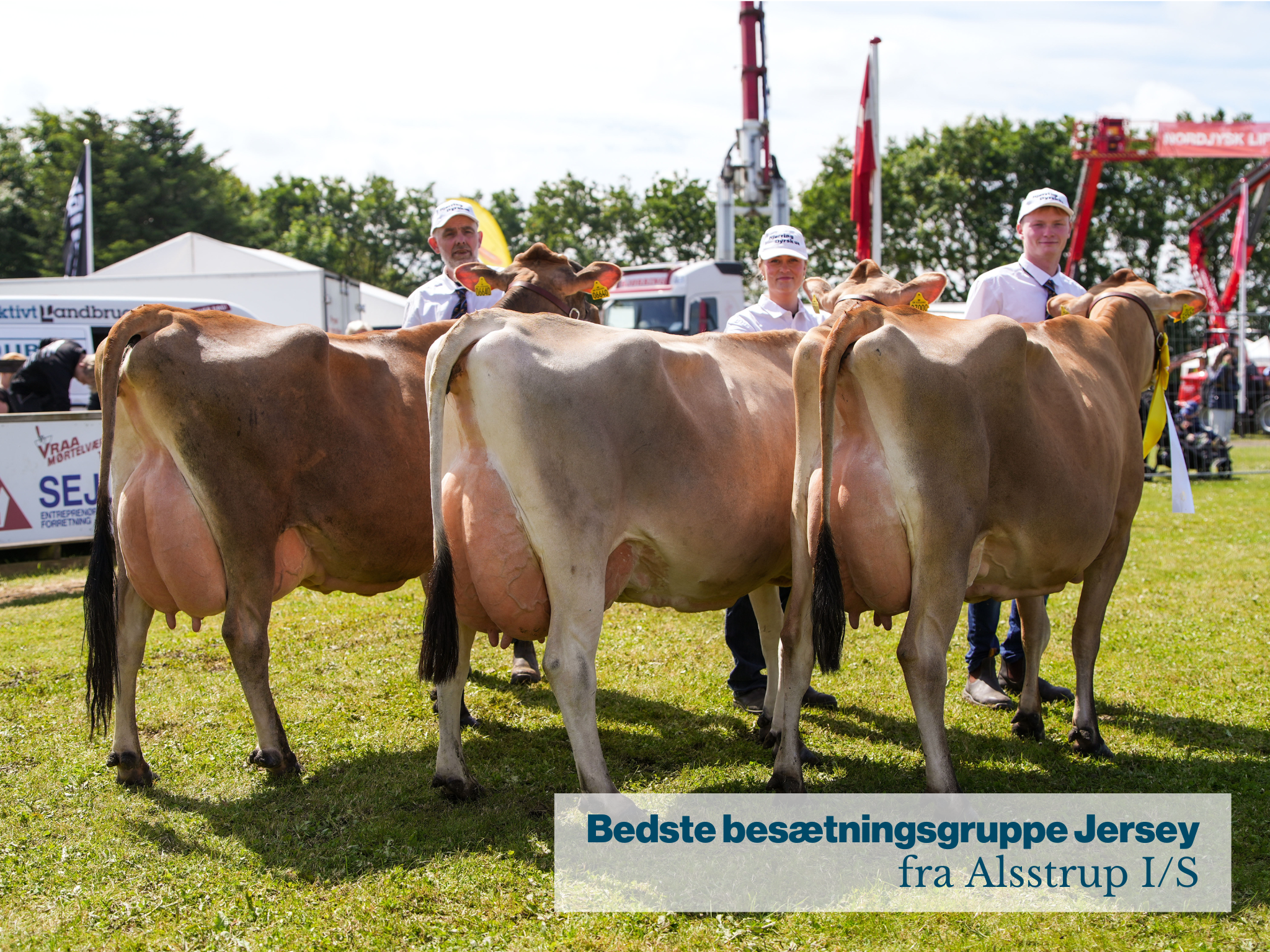 Bedste Besætningsgruppe Jersey