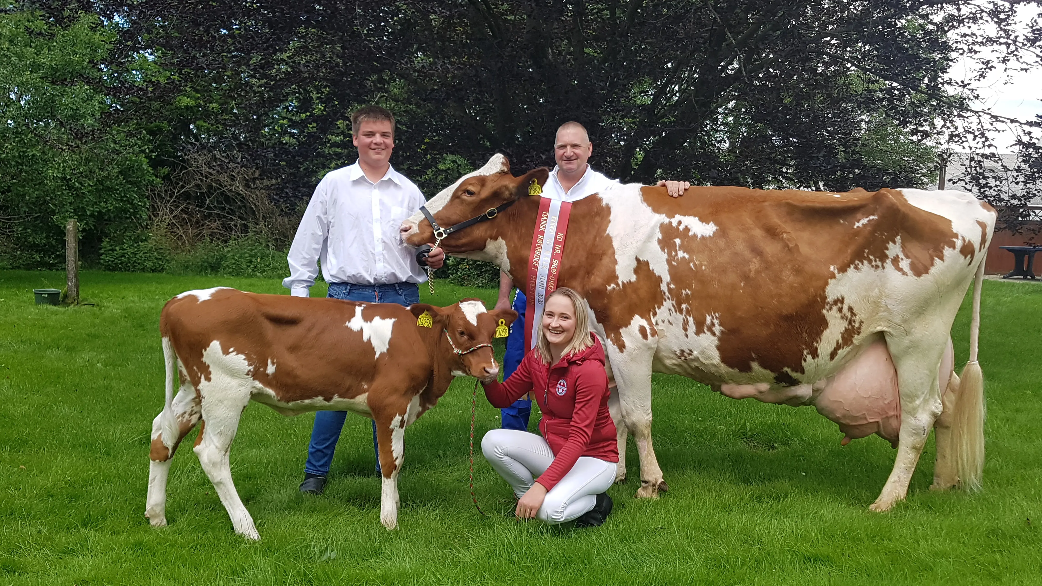 1882 DRH Taro X DRH Rolig