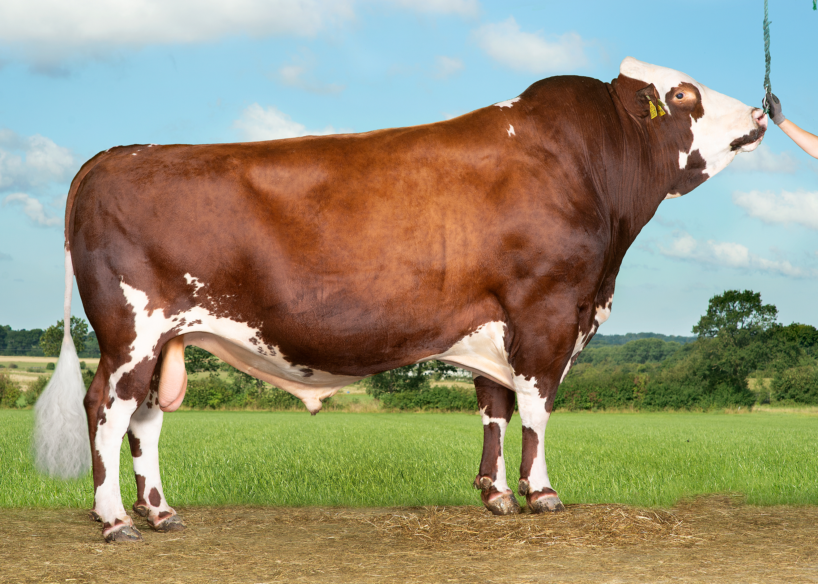 Vr Froerup Vr Faber Tilrettet