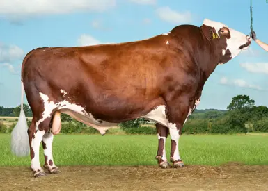 Vr Froerup Vr Faber Tilrettet