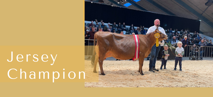 ARTICLE ENTRY TYR (20)