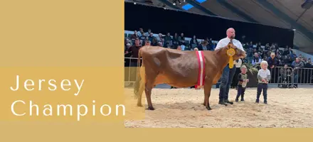 ARTICLE ENTRY TYR (20)