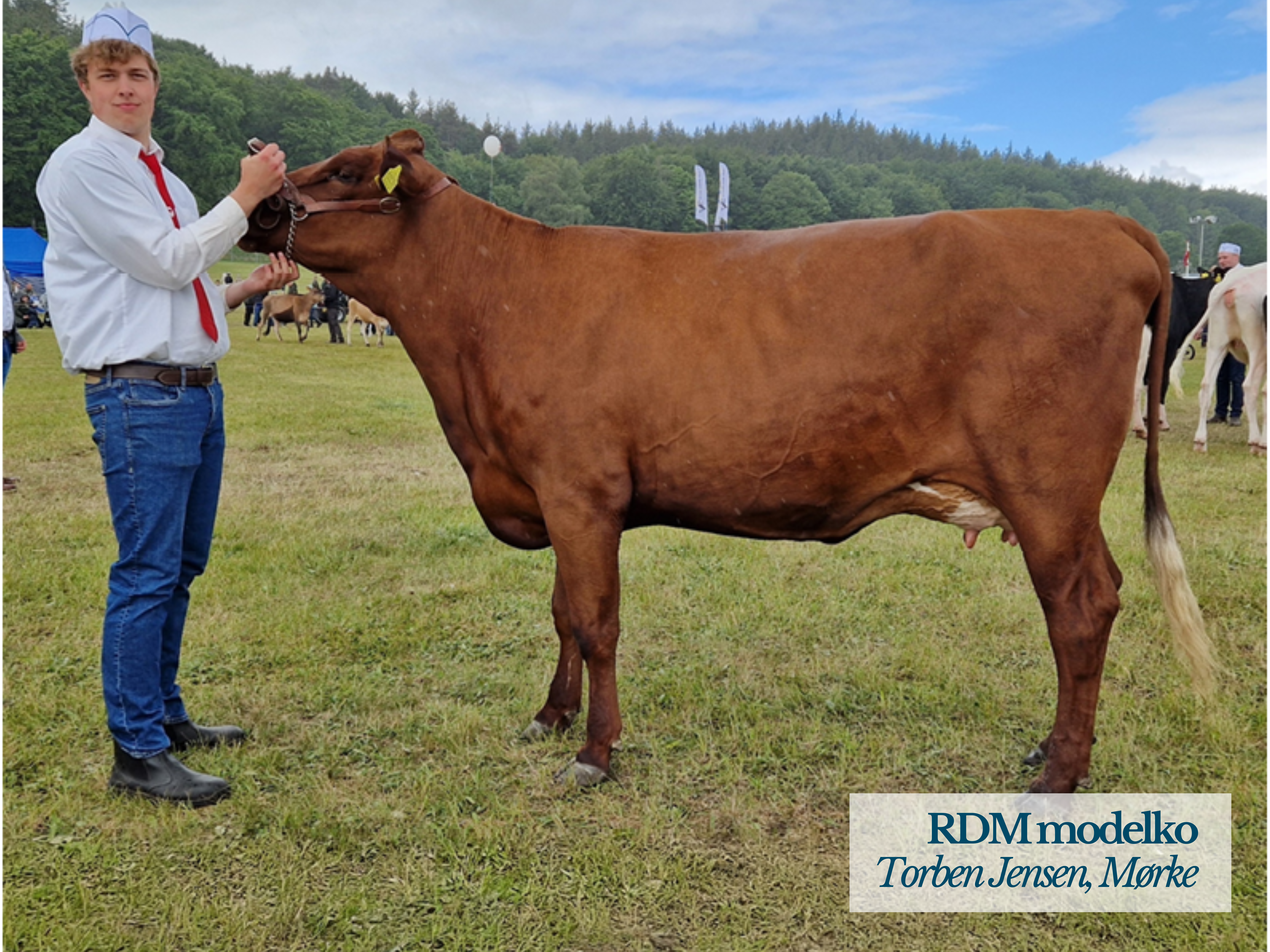 RDM Modelko Fra Torben Jensen, Mørke