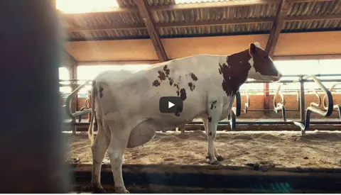 2021 06 28 At 08 35 20 Presentation Danishred