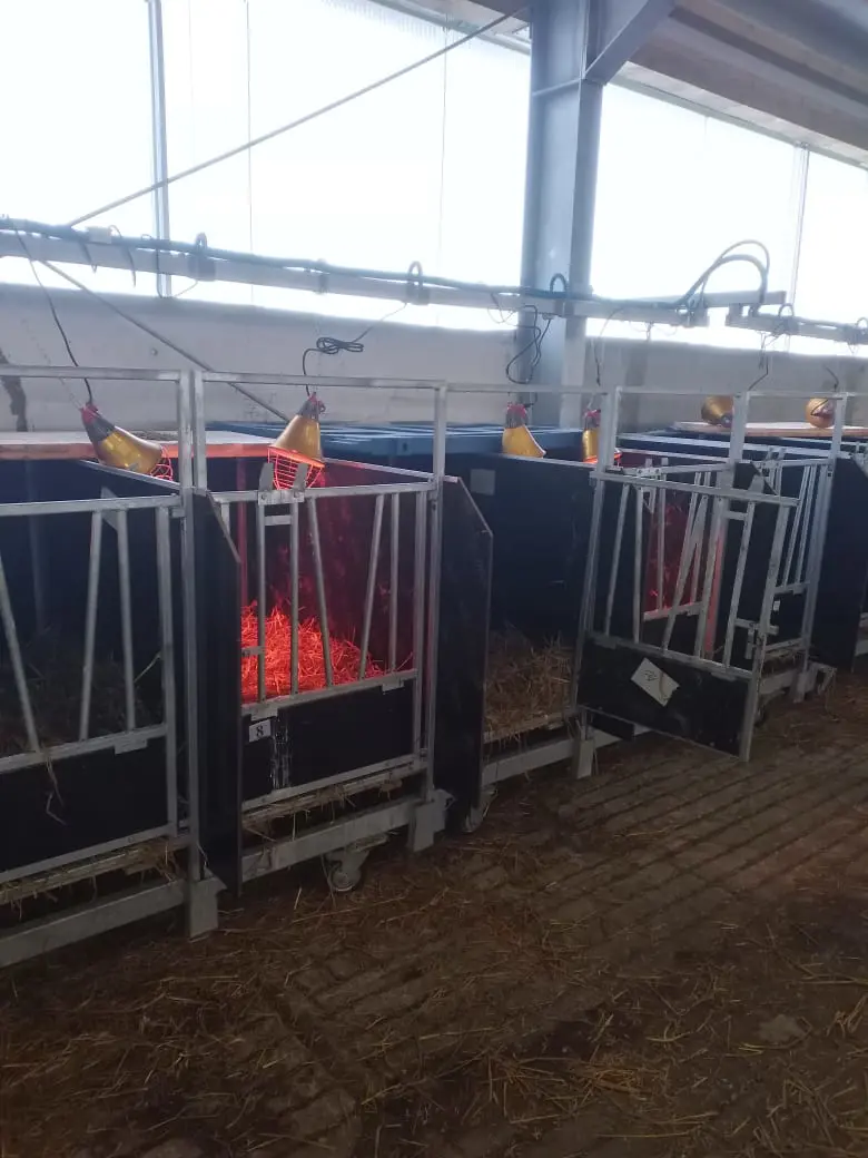 Whatsapp Image 2021 02 16 At 12.00.00 (002)