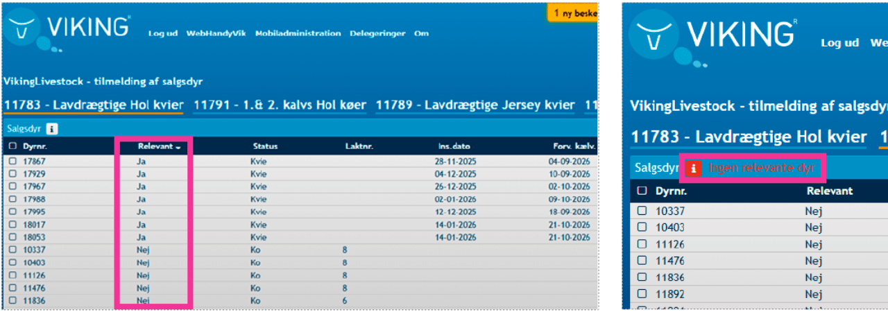 Ikke Relevant, 6
