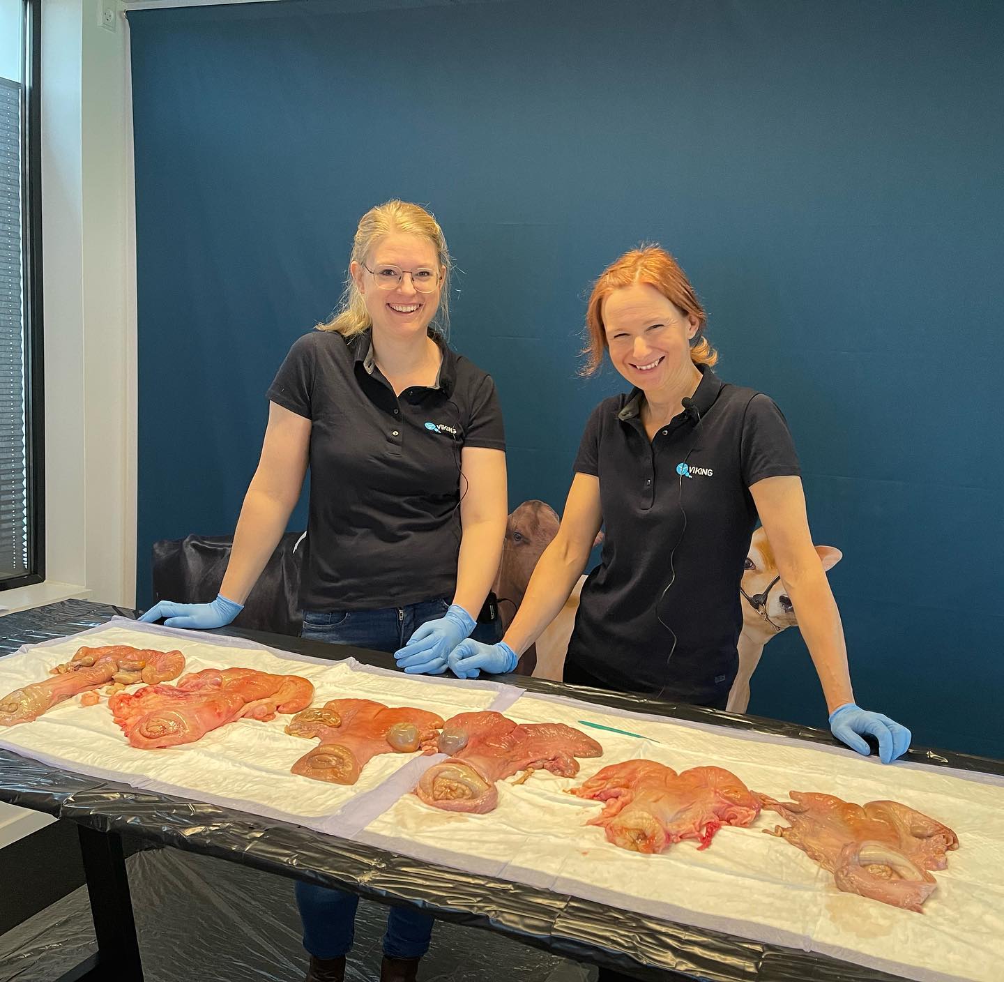 Sara Og Line Webinar 333613586 152798941011299 9164107811938623827 N