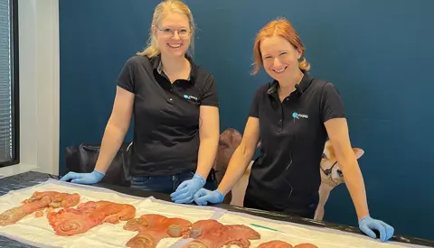 Sara Og Line Webinar 333613586 152798941011299 9164107811938623827 N