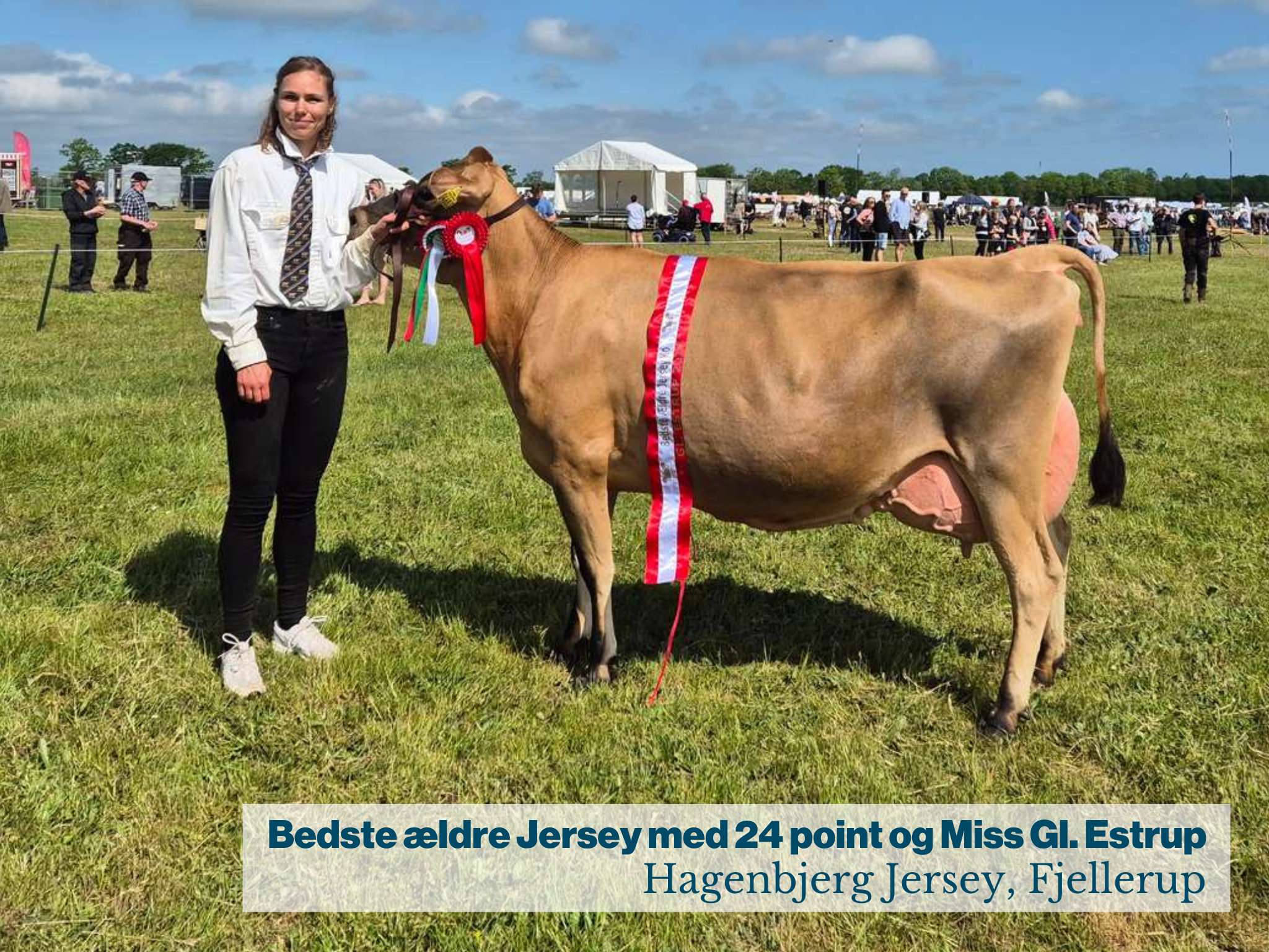Bedste Ældre Jersey Og Miss Gl. Estrup