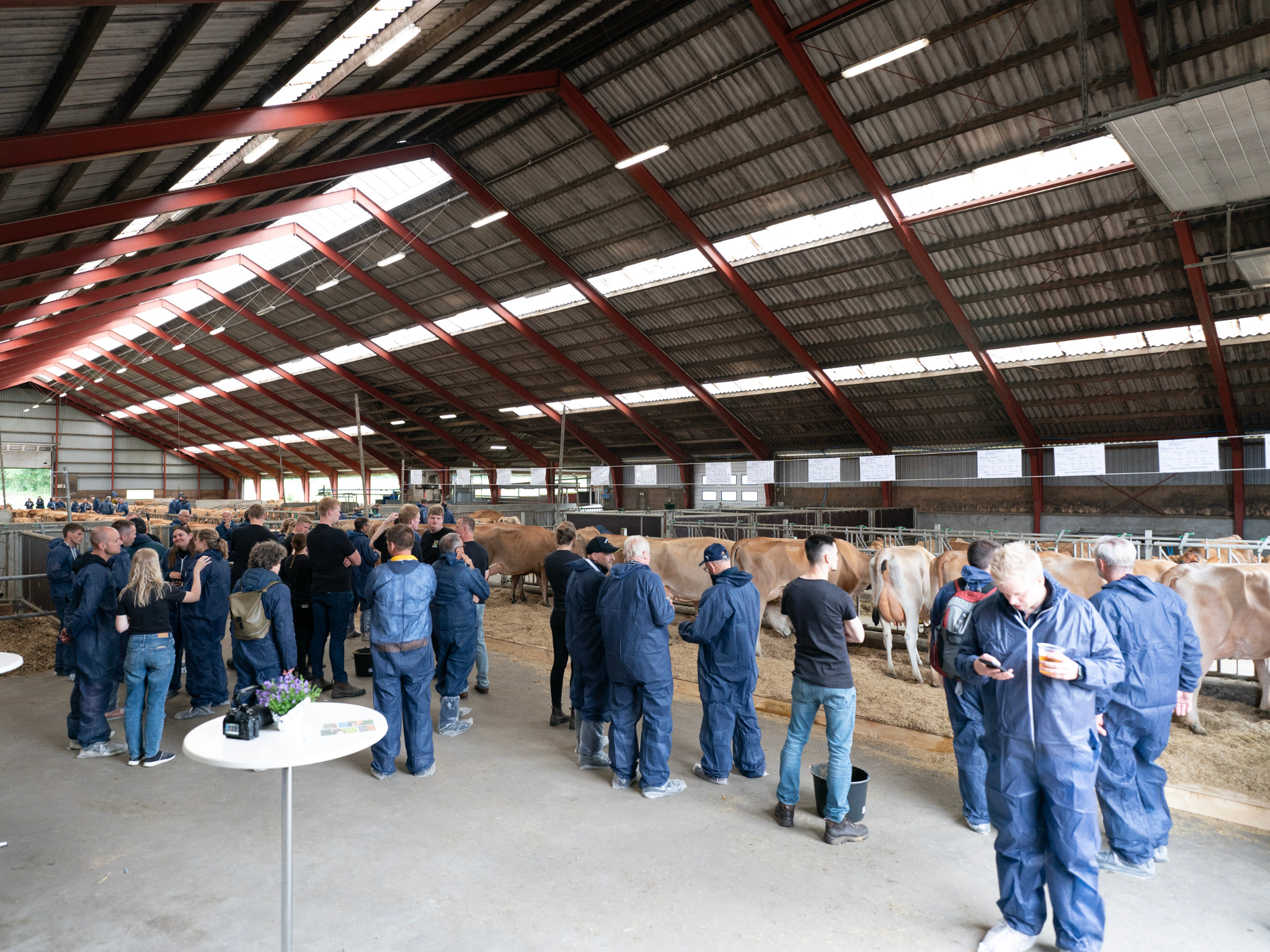 Jersey Verdenskongres 16