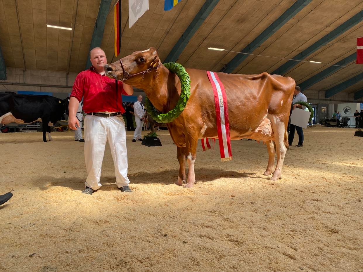 290685610 1030100037671381 1865424950754356303 N (1)