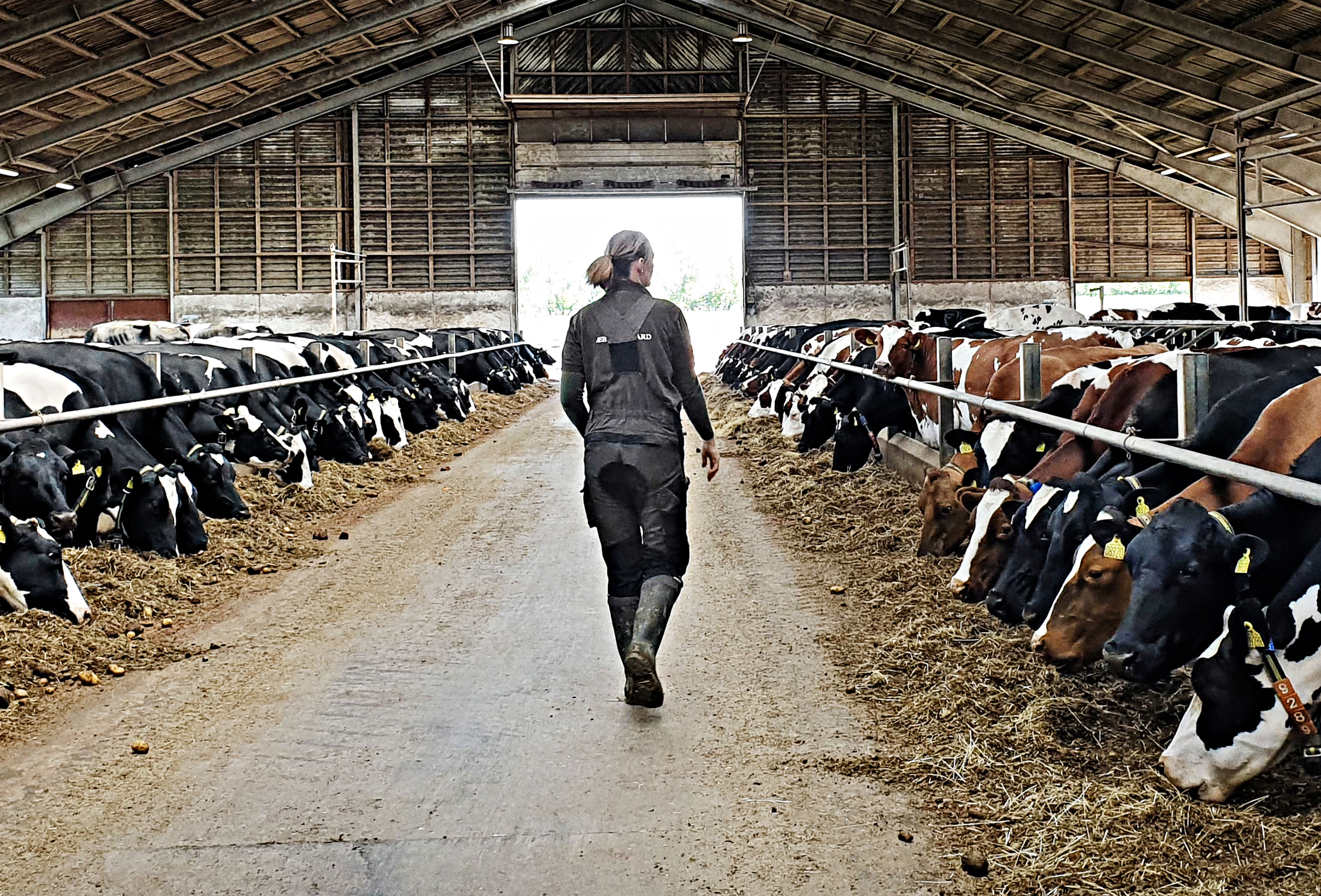 95842680 1626121304206859 347103531269