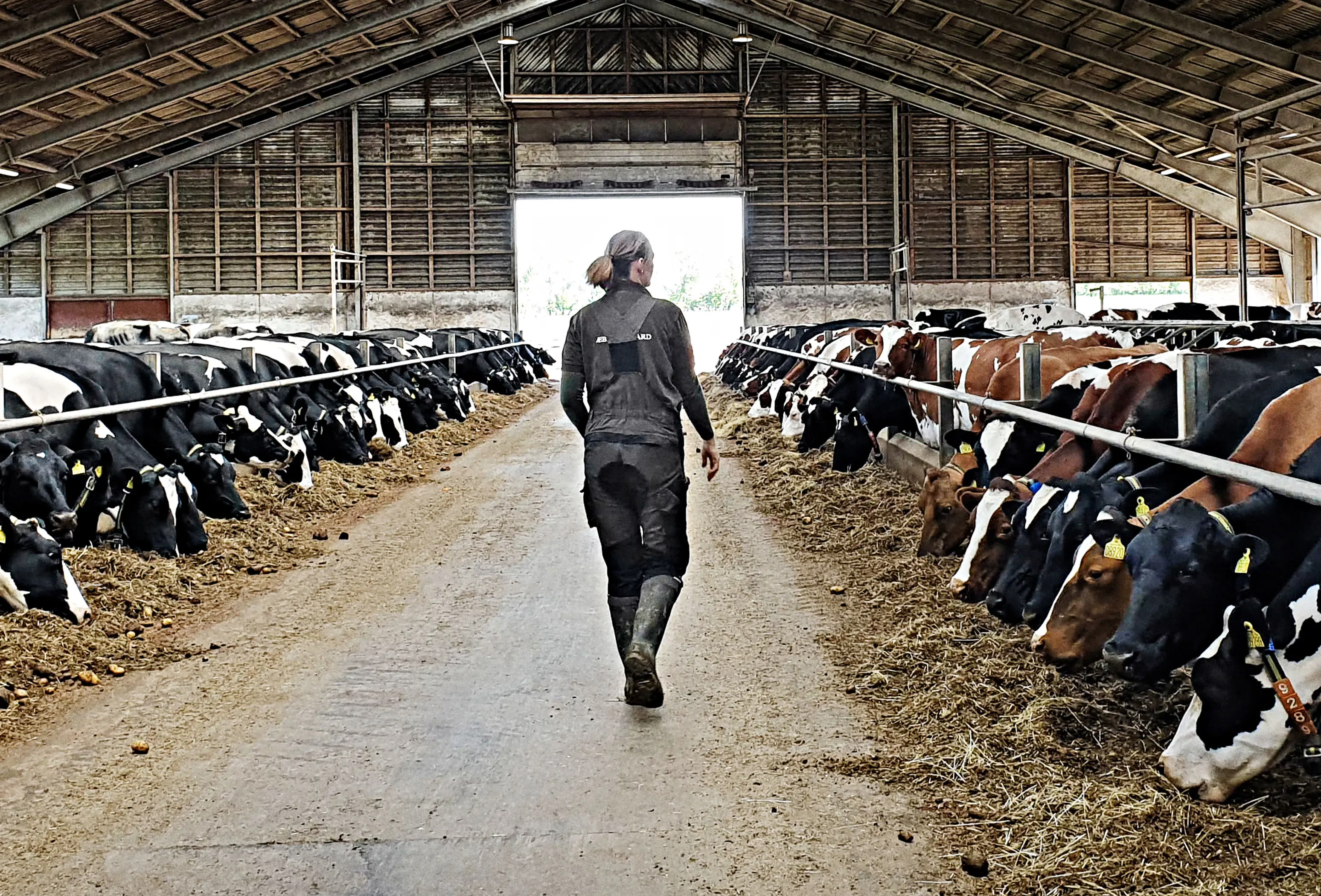 95842680 1626121304206859 347103531269